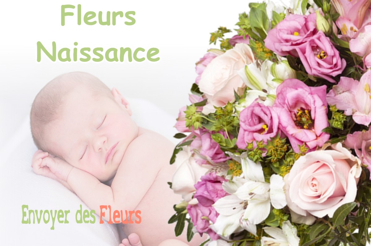 lIVRAISON FLEURS NAISSANCE à BATS